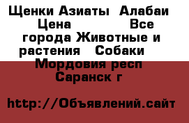 Щенки Азиаты (Алабаи) › Цена ­ 20 000 - Все города Животные и растения » Собаки   . Мордовия респ.,Саранск г.